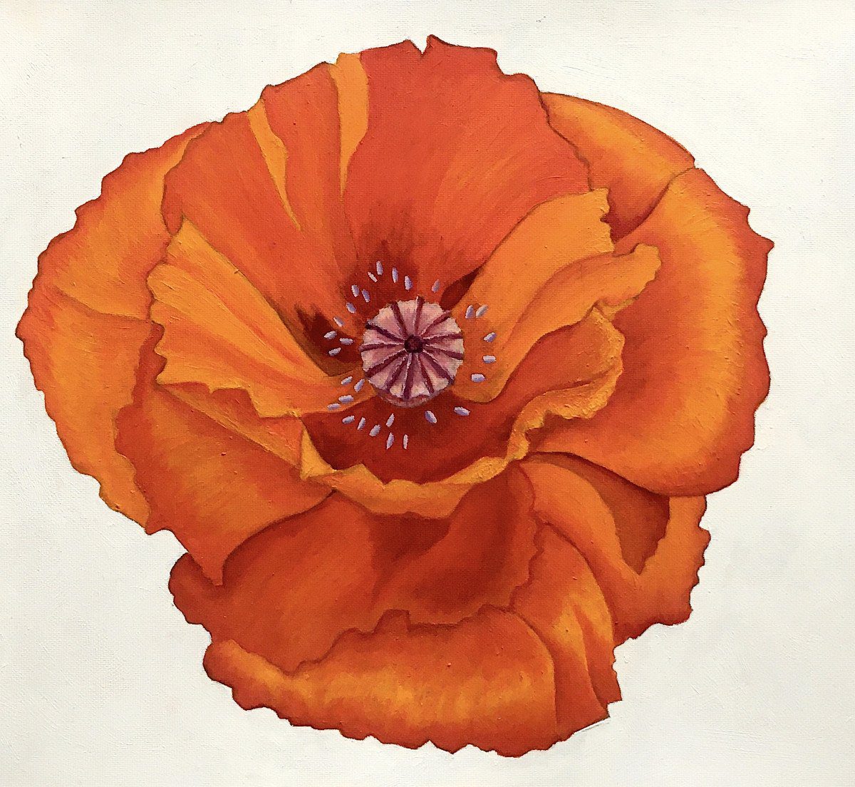 Red Poppy in oils